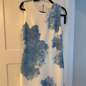 Calvin Klein women’s dress